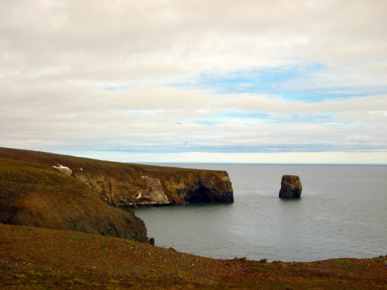 Ученые нашли пластик на дне арктического моря Лаптевых