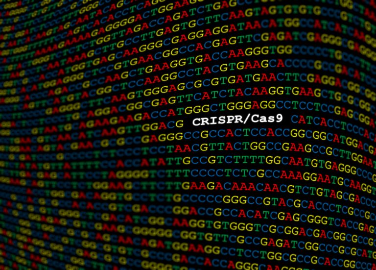Генетики: мозг первых CRISPR-детей может работать намного лучше, чем у обычных людей