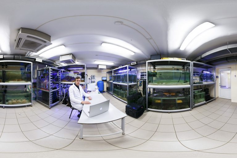 Российский научный фонд возобновил финансирование 550 научных проектов