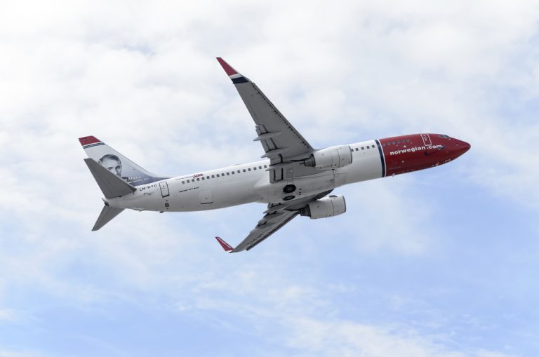 Причиной крушения эфиопского Boeing-737 MAX могла стать птица