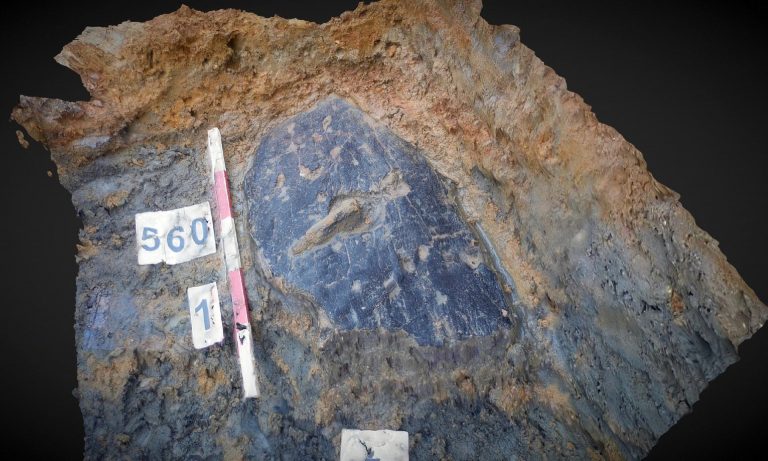 В Англии нашли деревянный щит, которому 2300 лет
