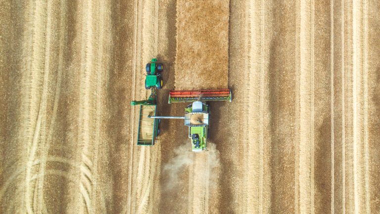 Smart farming: как интернет вещей, цифровизация и беспилотники повышают урожайность в сельском хозяйстве