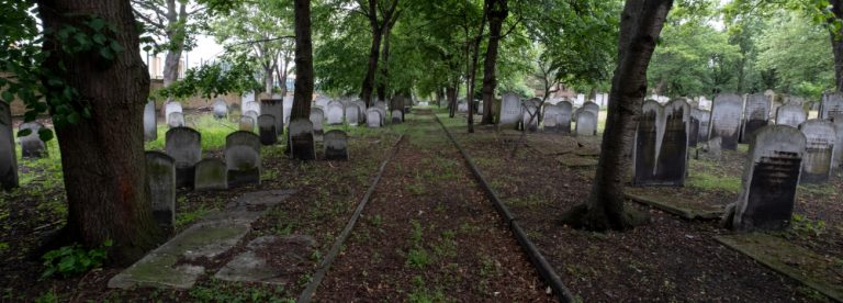 Ученые предложили новый способ хоронить мертвецов. Это экологично, но все равно очень жутко!