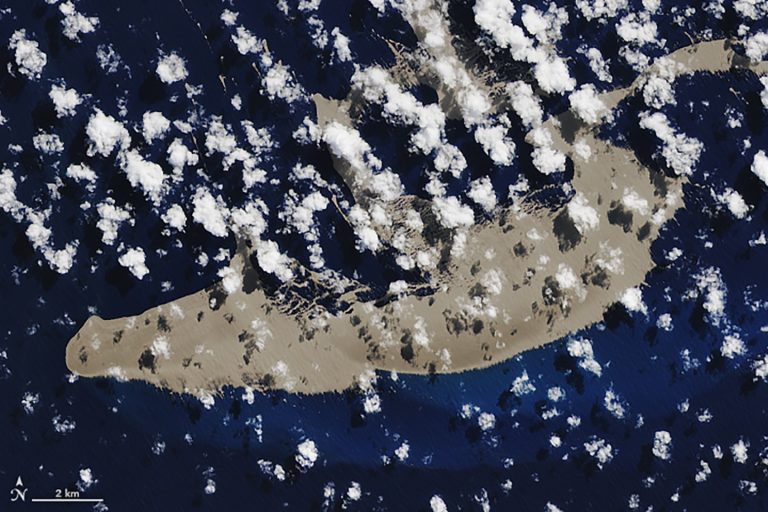 Посмотрите на огромный «плот» из пемзы — он движется в сторону Большого барьерного рифа и может спасти его от гибели