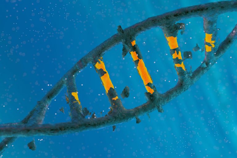 Китайские ученые впервые пересадили пациенту с ВИЧ его собственные CRISPR-отредактированные клетки