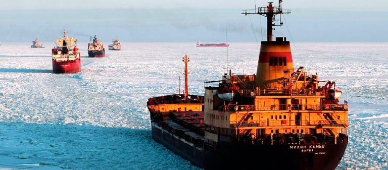 На протяжении всего Северного морского пути обнаружены частицы микропластика