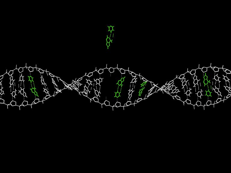 Ученые представили новый метод генного редактирования. Он точнее CRISPR и может исправить 89% мутаций