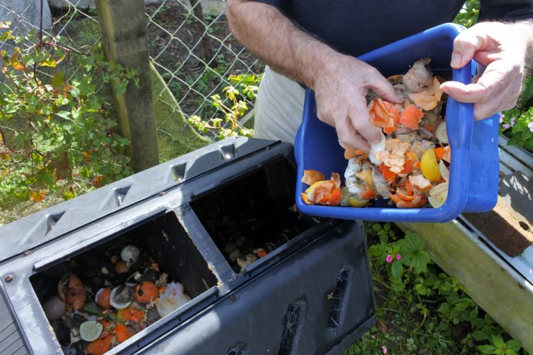 ООН: треть продуктов питания в мире выбрасывают на помойку