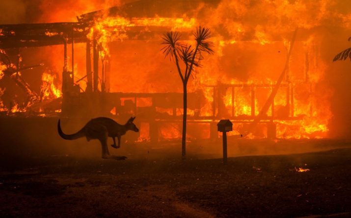 Картинки по запросу пожар в австралии