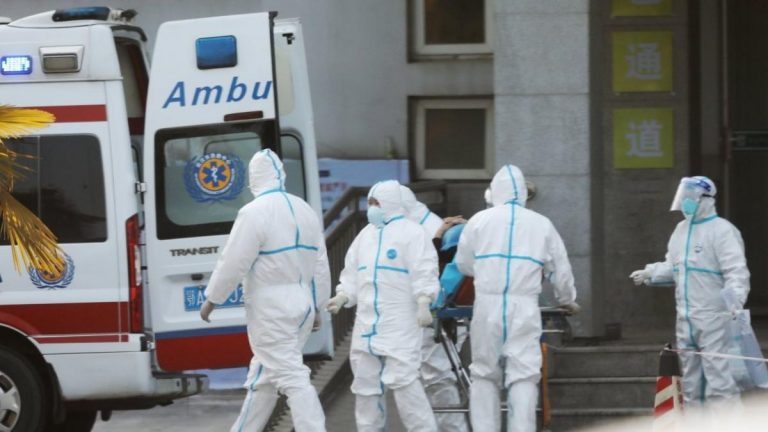 Китайский коронавирус оказался гибридом вирусов летучей мыши и змеи