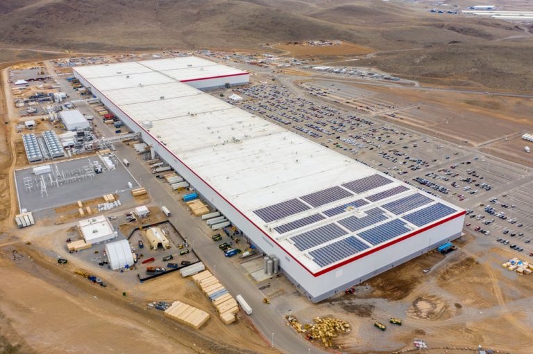 Tesla обязали остановить вырубку леса на месте создания завода в Германии