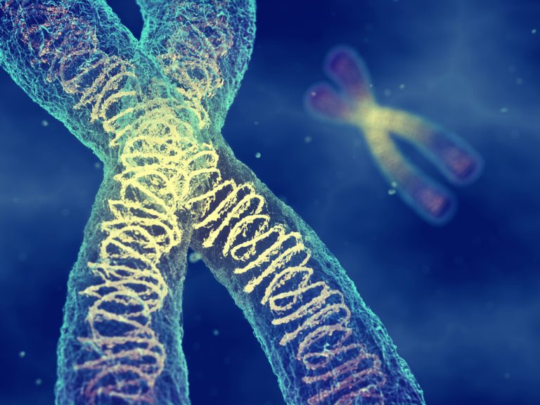 Найден новый метод генной терапии — PIP-HoGu. Он не связан с вирусами и CRISPR