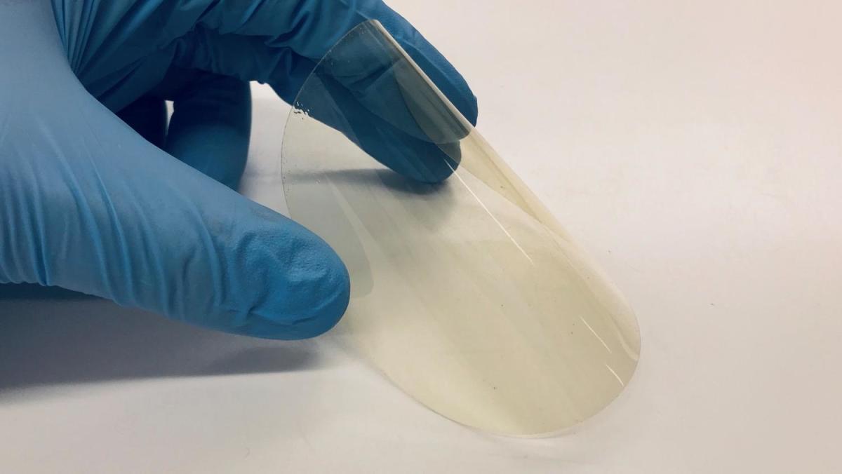 Ученые создали блокирующий ультрафиолетовое излучение биопластик
