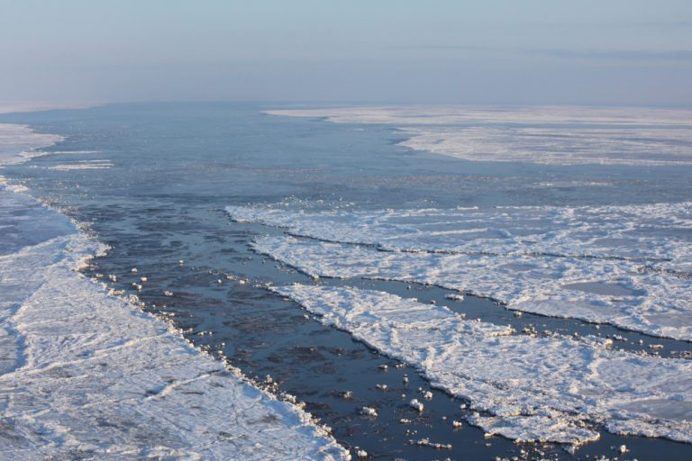 Уровень микропластика в Баренцевом море оказался одним из самых высоких на Земле