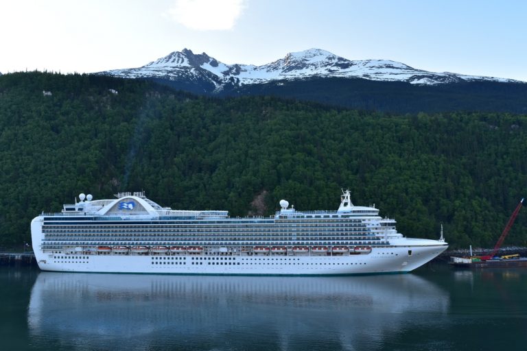 Коронавирус выжил в каютах компании Princess Cruise 17 дней после ухода больных пассажиров