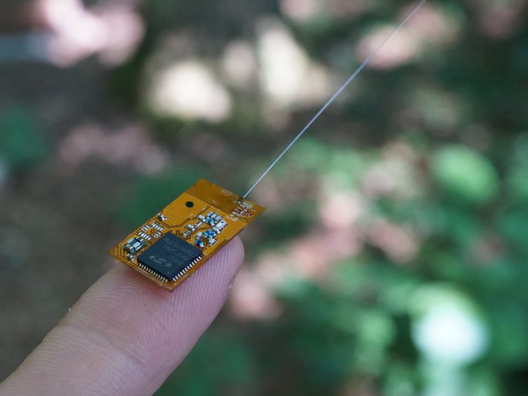 GPS-рюкзачок размером с ноготь поможет отслеживать диких животных