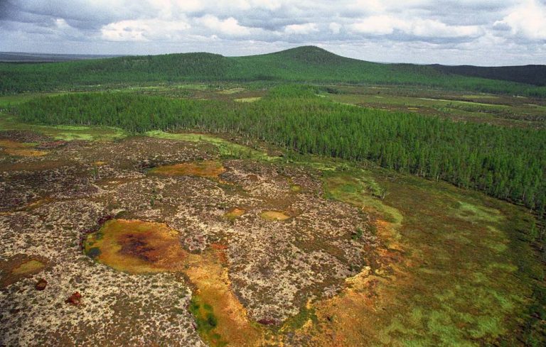 Российские ученые считают, что Тунгусский метеорит — это железный болид