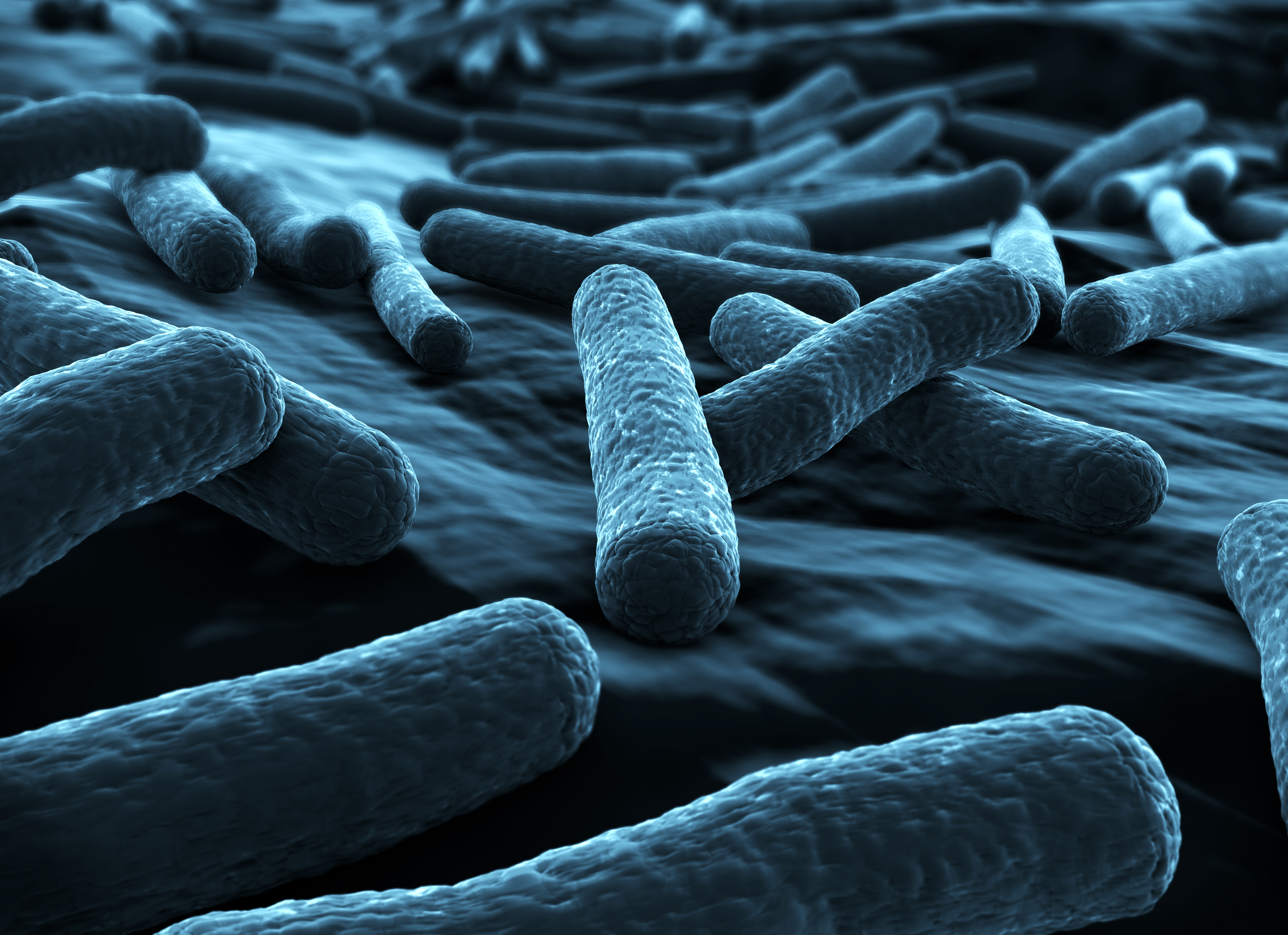Резистентность бактерии к одному антибиотику приводит к резистентности и к другому