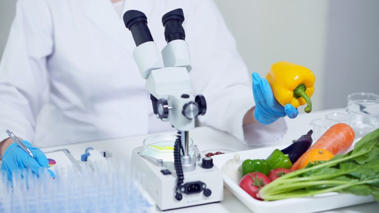 Исследование: искусственное мясо в ближайшие годы займет 10% всего мясного рынка