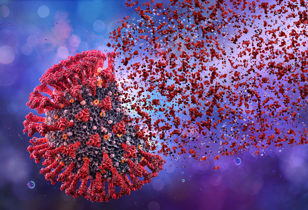 Как Т-клетки сформировали новый иммунитет против COVID-19 и ...