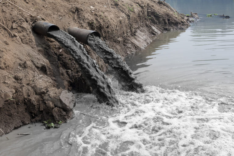 Ученые придумали, как очистить непригодную для питья воду с помощью бактерий