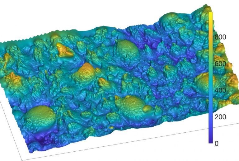 Посмотрите на напечатанную на 3D-принтере текстуру, похожую на язык