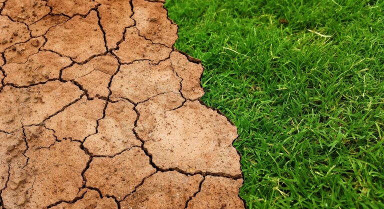 Потепление всего на 2 °C приведет к высвобождению миллиардов тонн углерода в почве