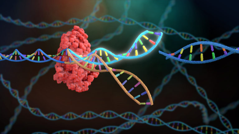 Нанотела помогут CRISPR включать и выключать гены в клетках