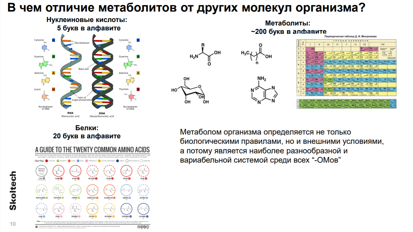 Сергей Осипенко, «Сколтех» — о метаболитах, методе сухой крови и скрининге  детей