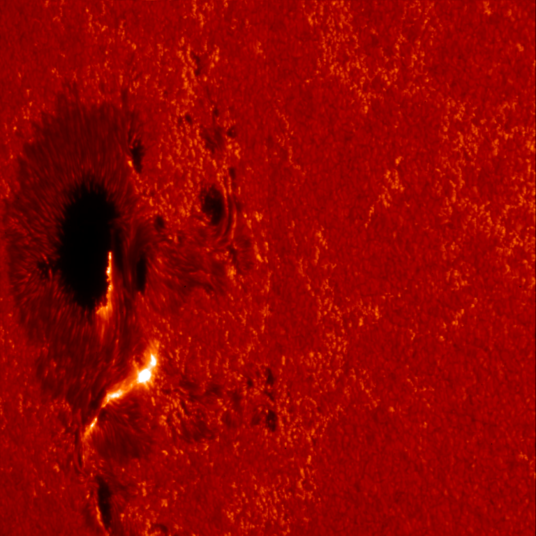 Посмотрите на год жизни Солнца, снятый NASA