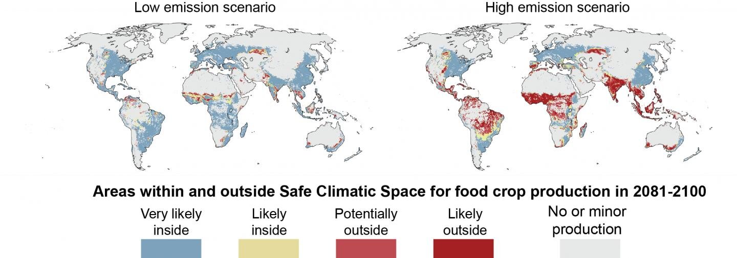 Третина продуктів харчування і третина лісів зникнуть через зміни клімату