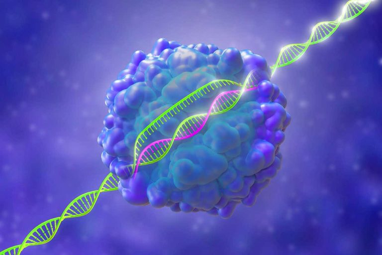 Новый метод введения CRISPR поможет в лечении редких заболеваний