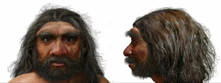 Homo longi: как новый вид человека поменял историю происхождения Homo sapiens