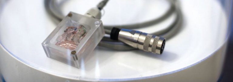 Создан сверхточный способ изучения мозга на основе квантовых технологий
