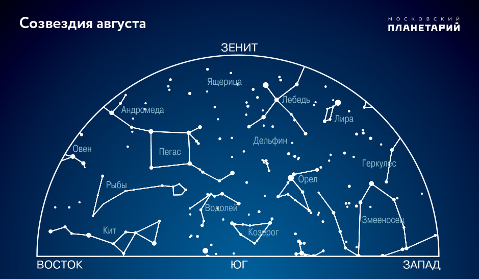 Созвездие южного полушария главная звезда факт 6. Созвездия. Звездное небо созвездия. Созвездия летнего неба. Звездное небо в августе созвездия.