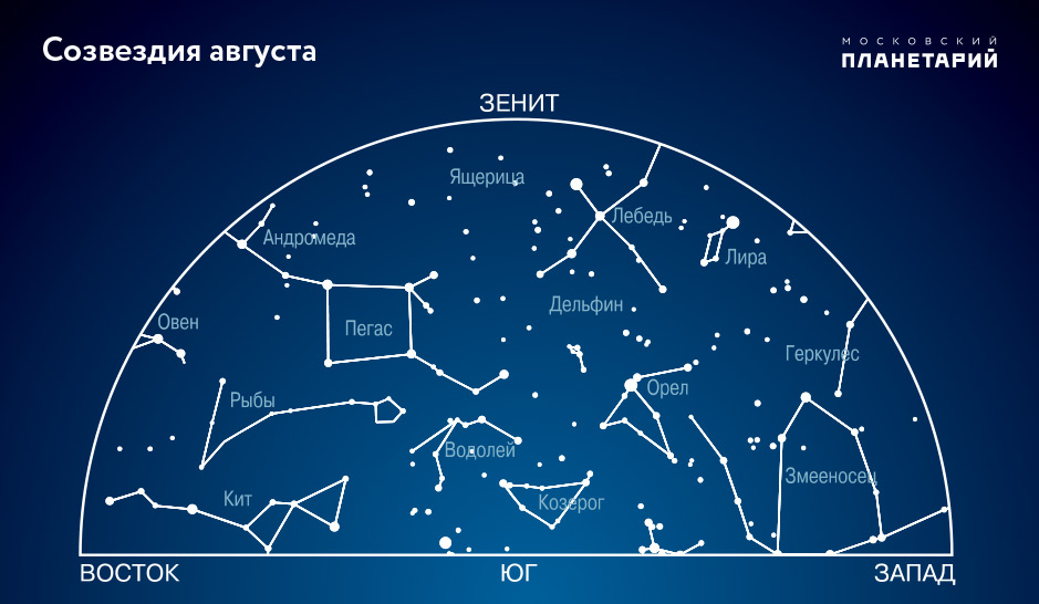 Созвездие из 8 звезд название и картинки