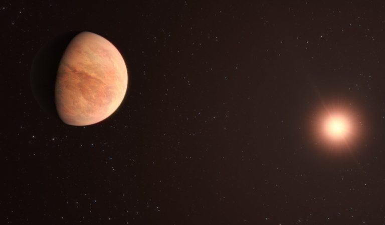 Потенциально обитаемая планета из клона Солнечной системы весит как пол-Венеры