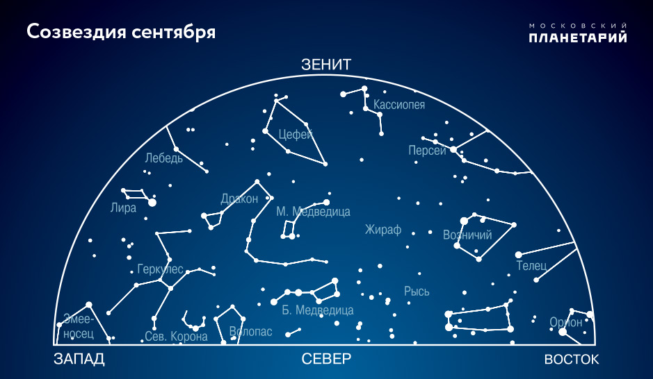 на каком полушарии земли можно увидеть сразу все 3 самые яркие звезды ночного неба