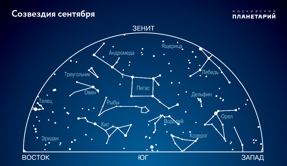 на каком полушарии земли можно увидеть сразу все 3 самые яркие звезды ночного неба