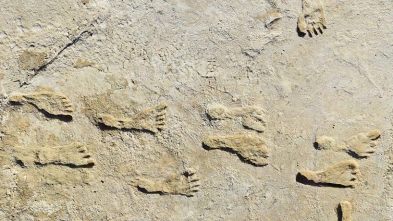 Ученые нашли следы древнего человека с модельной походкой