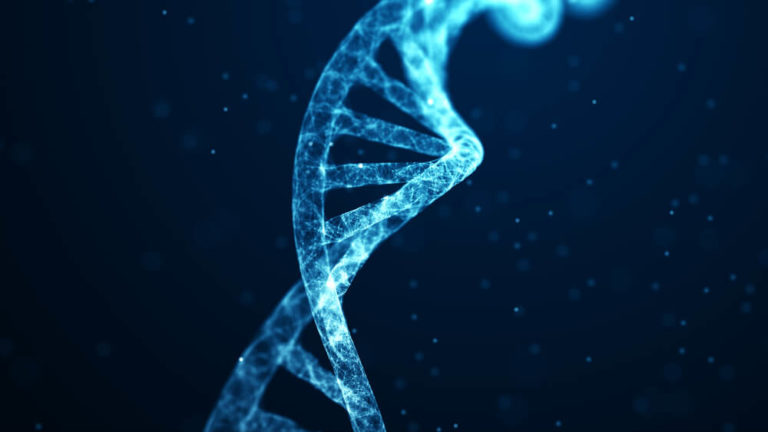 Появился новый in vitro способ хранения информации в ДНК. Он записывает три бита в час