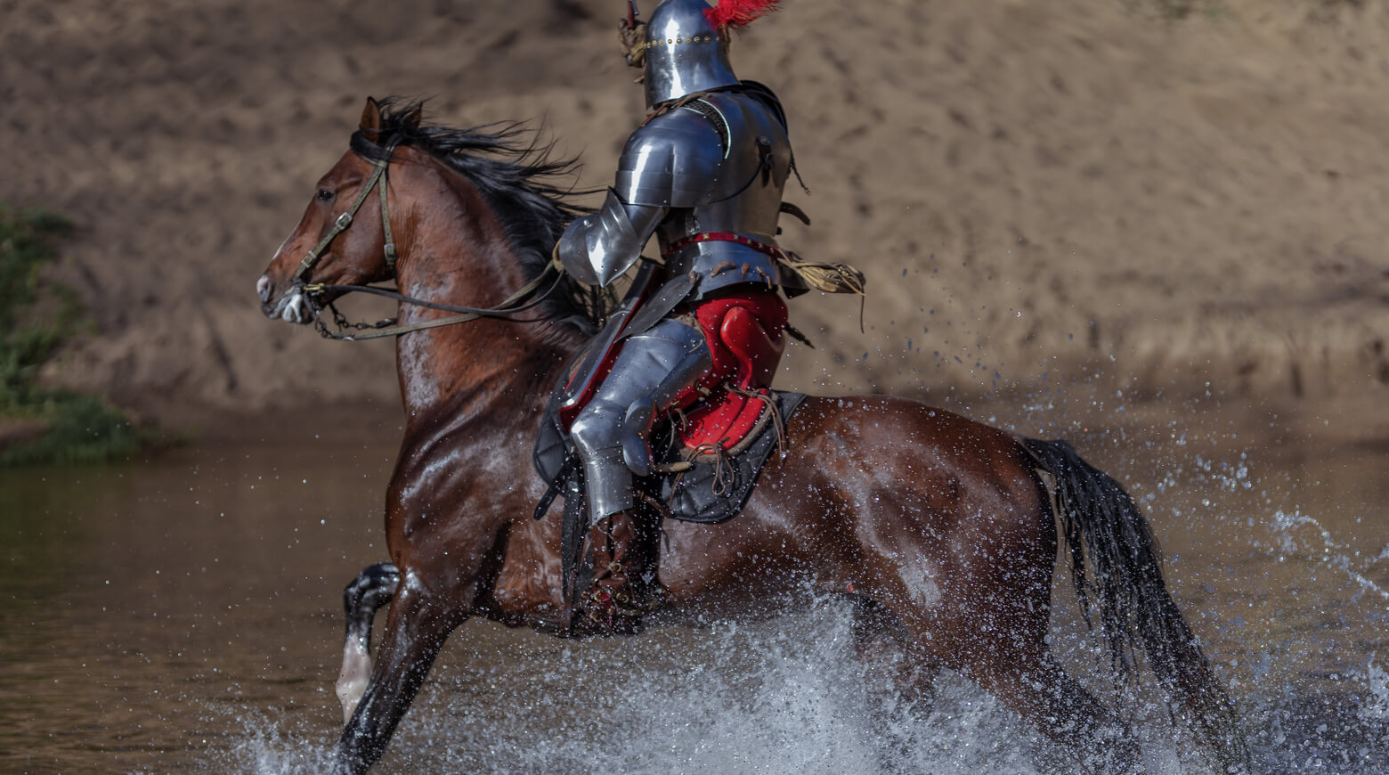 Средневековые рыцари отправлялись в бой на боевых конях размером с пони