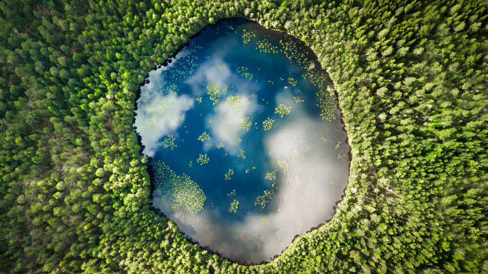 Фото земли водного фонда