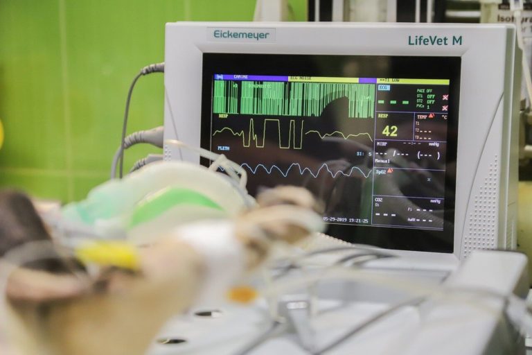Нейросеть узнает человека по сердцебиению с точностью 96,6%