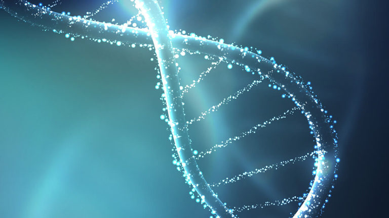 Ученые связали каждый человеческий ген с его функцией с помощью CRISPR