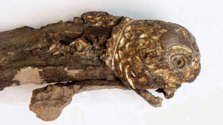 Обломки редкого меча викингов воссоединили после 1 200 лет разлуки