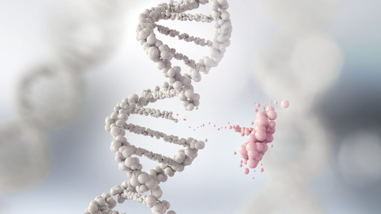 Биологи предложили новый метод генной терапии: «бережный» CRISPR
