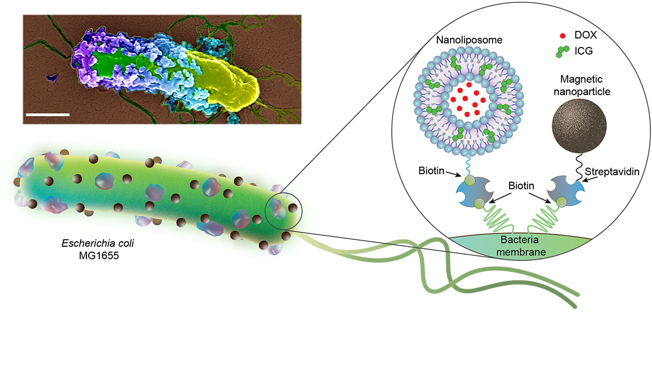 Генетические тесты для диагностики