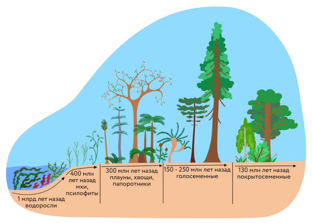 Эволюция растений и животных. Эволюция. Растения. Эволюция растительного мира. Ход эволюции растительного мира. Ход эволюции растений.