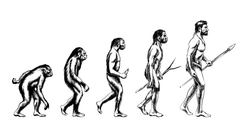 Homo Sapiens «победили» неандертальцев с помощью одной аминокислоты